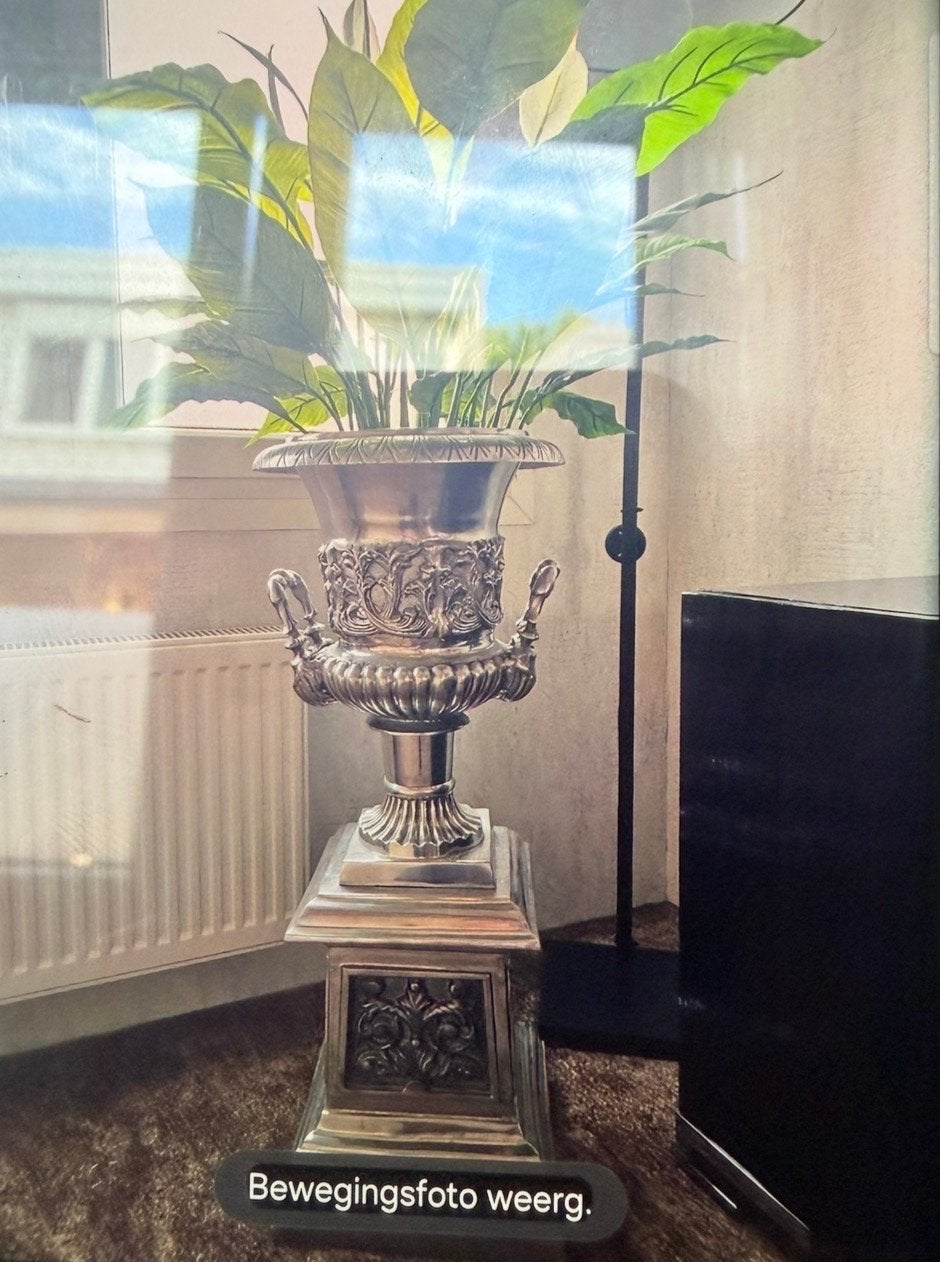 Decoratieve Zilverkleurige Vazen 2x met Sokkel, Ophalen