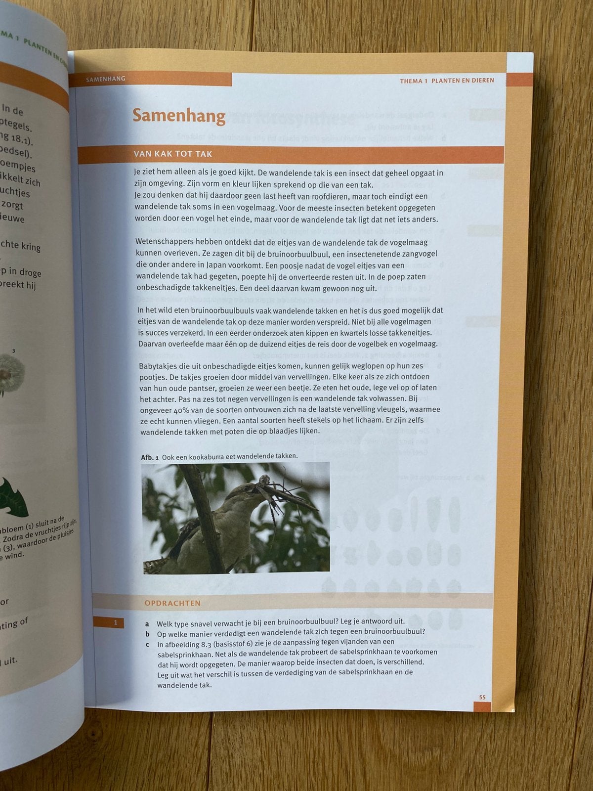choolboek Biologie 1 havo/vwo deel A Malmberg, Boeken, Gelezen, Malmberg, Biologie, HAVO