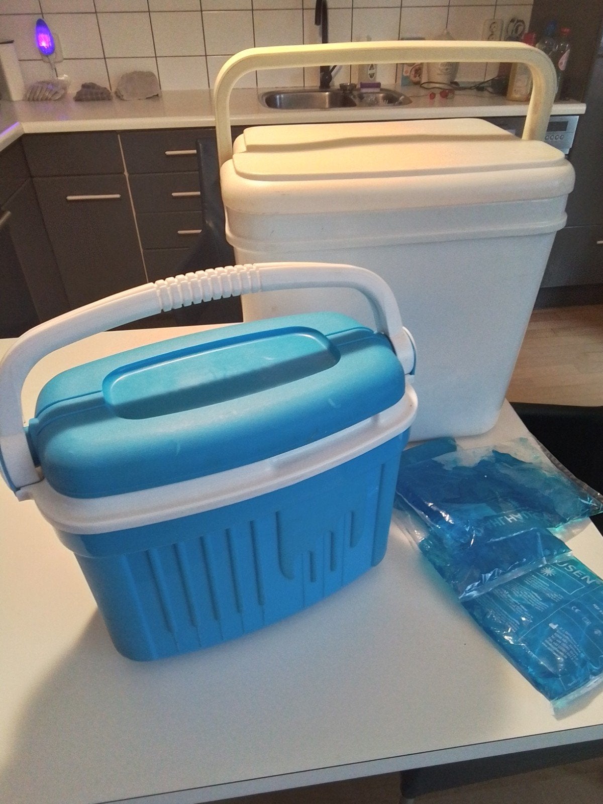 2 Koelboxen (Curver & EDA ICEBERG) met koelelementen 15 euro, Ophalen of Verzenden, Koelelement