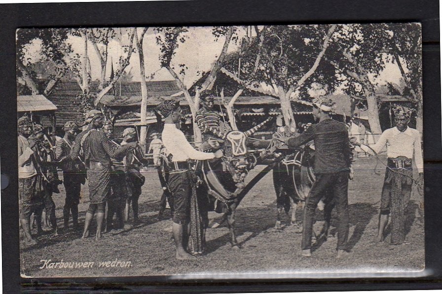 Ned Indië Karbouwen racing 1913 (2-12), Ophalen, Voor 1920, Buiten Europa