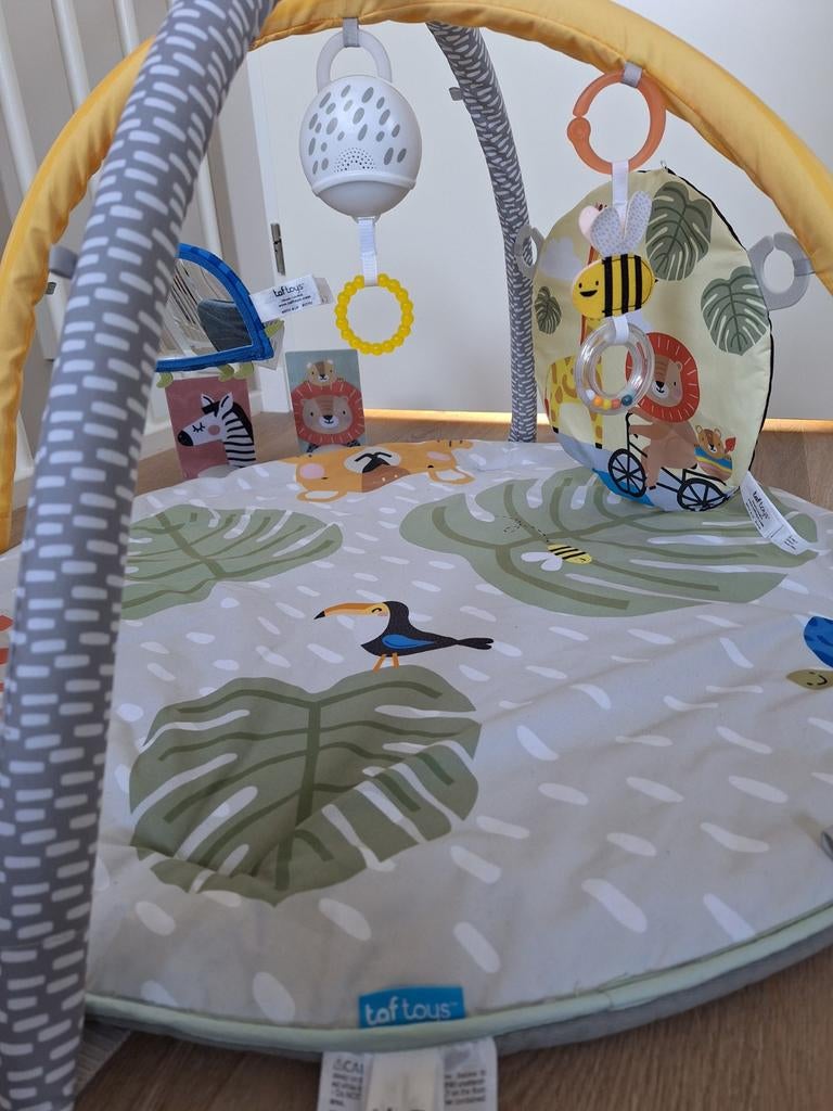Taf Toys Babygym met speelkleed en muziekdoosje, Ophalen