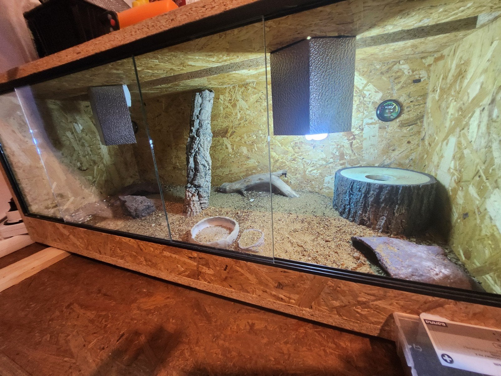 luipaard Gekko Leopard Gecko photo 5