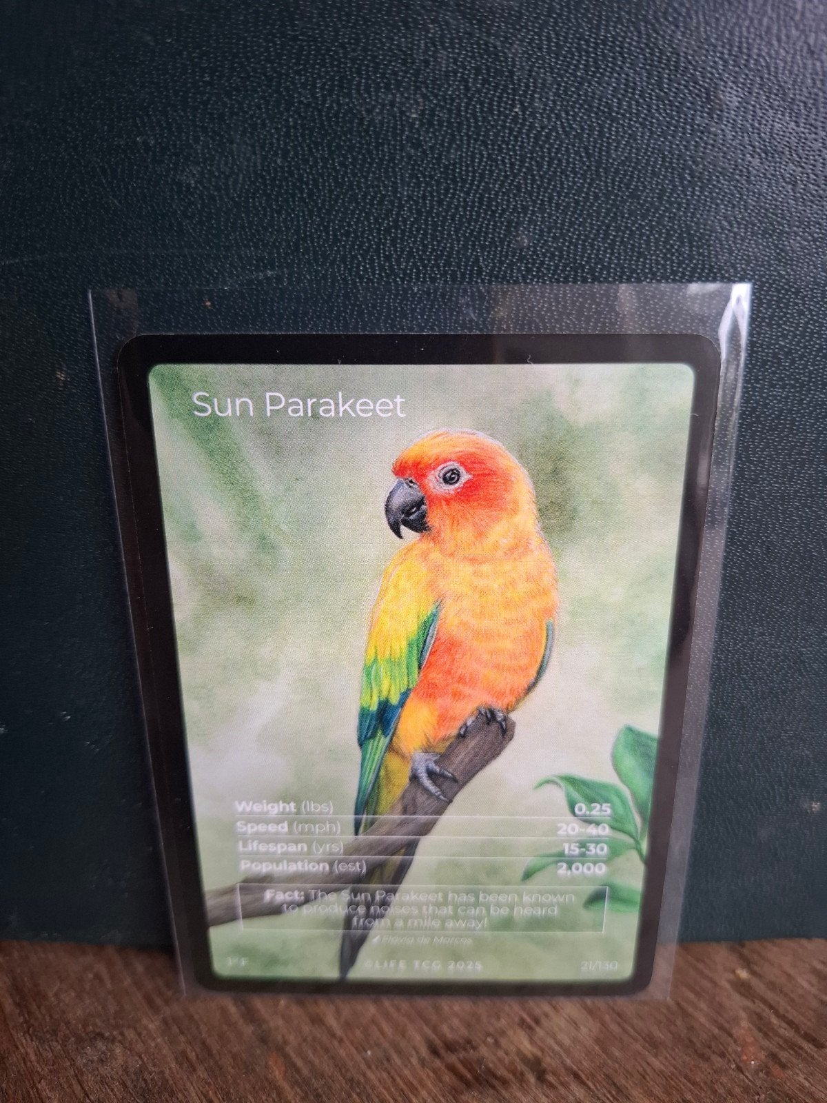 LIFE TCG 2025 Vogelkaarten - Diverse Soorten, Ophalen of Verzenden, Zo goed als nieuw