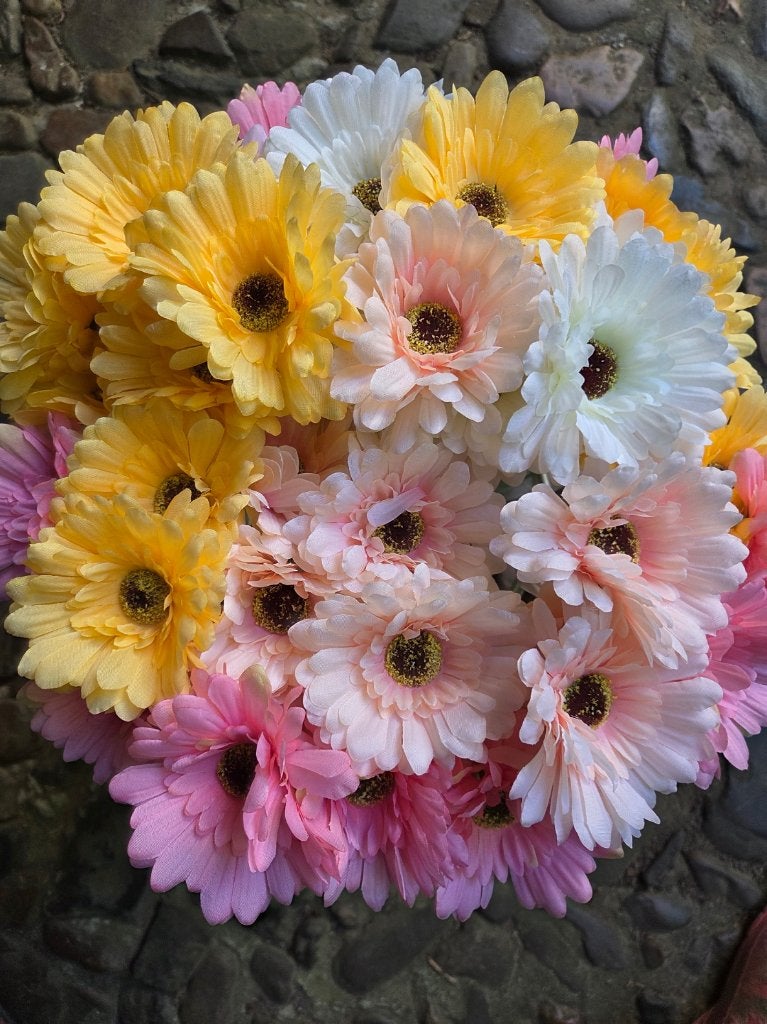 SUPERKOOPJE - GERBERA - 4 KLEUREN - 1 EURO, Ophalen of Verzenden, Nieuw