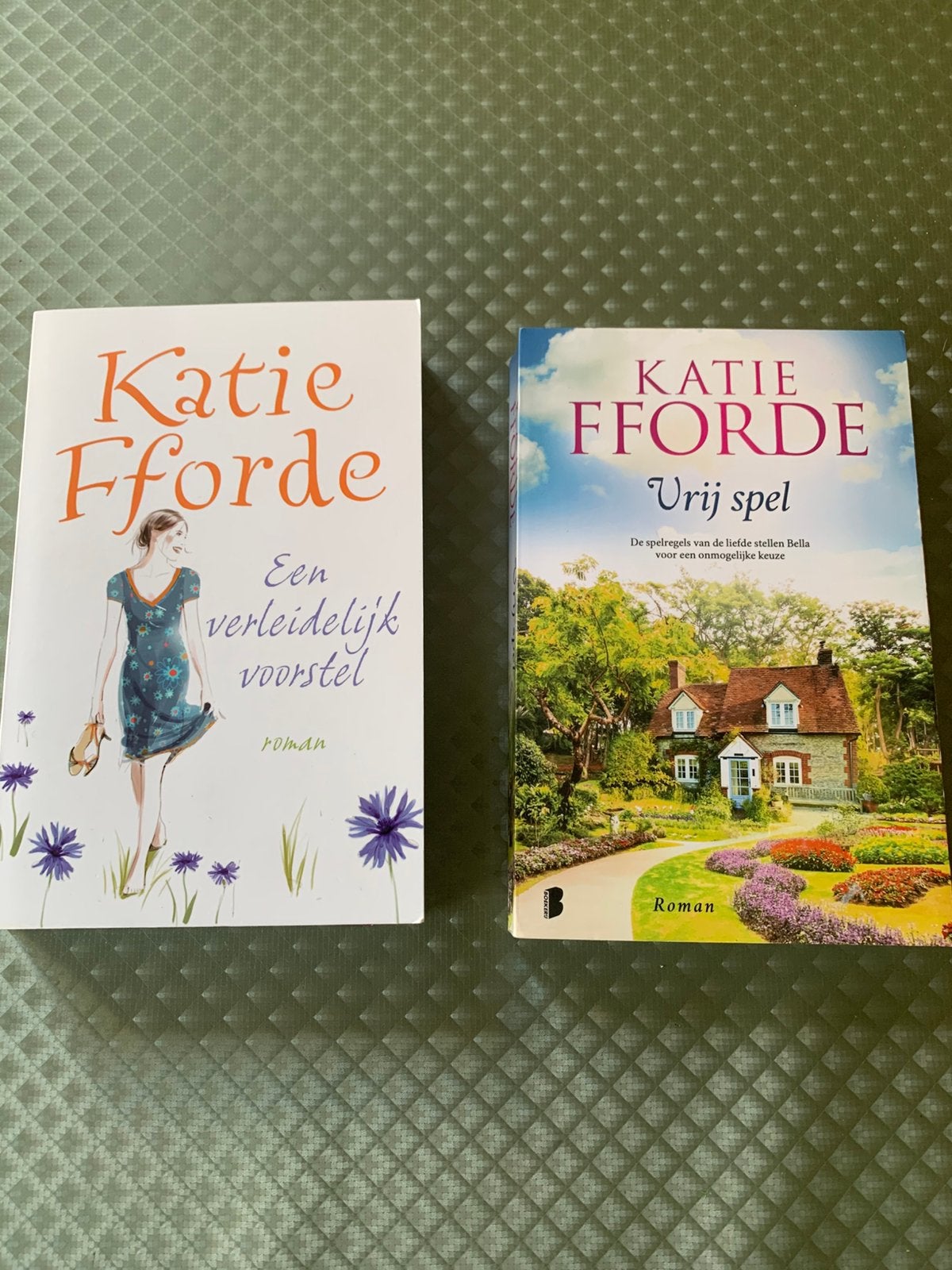 Diverse romans oa Katie Fforde, Rachel Hore,Lucinda Riley, Boeken, Ophalen of Verzenden, Zo goed als nieuw