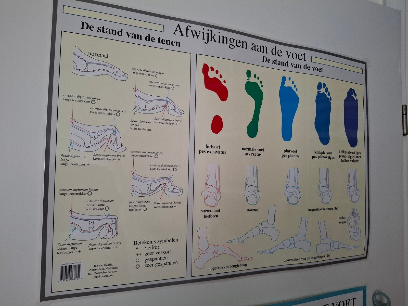 posters voeten pedicure, Ophalen of Verzenden, Zo goed als nieuw