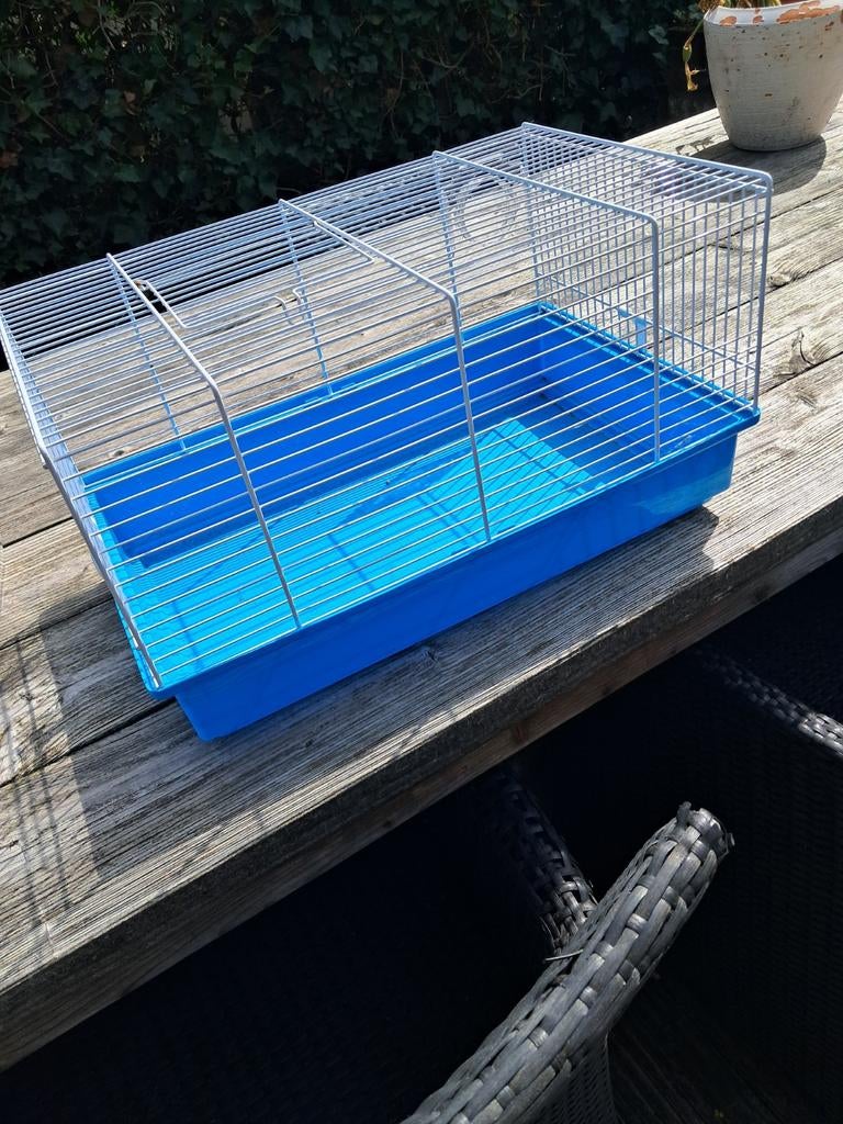 Hamsterkooi met allerlei attributen, Dieren en Toebehoren, Minder dan 60 cm, Kooi, Gebruikt, Minder dan 75 cm