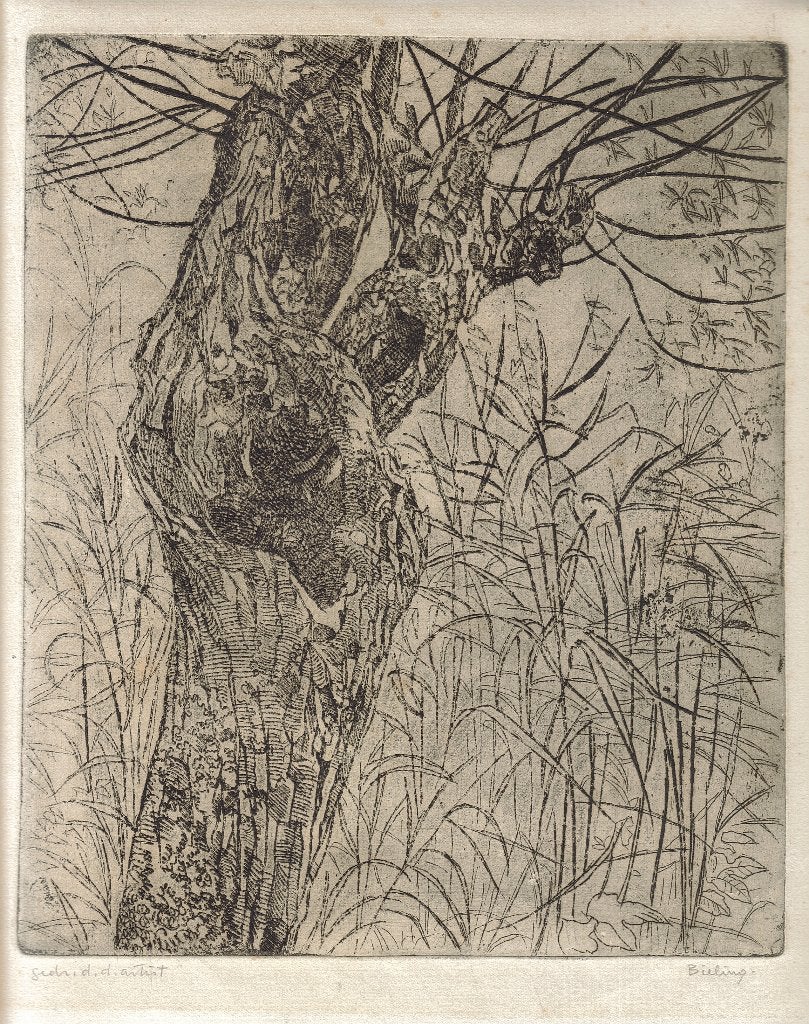 Herman Bieling ets "Knotwilg tussen Riet", gesigneerd, Ophalen, Ets, Landschap, Origineel