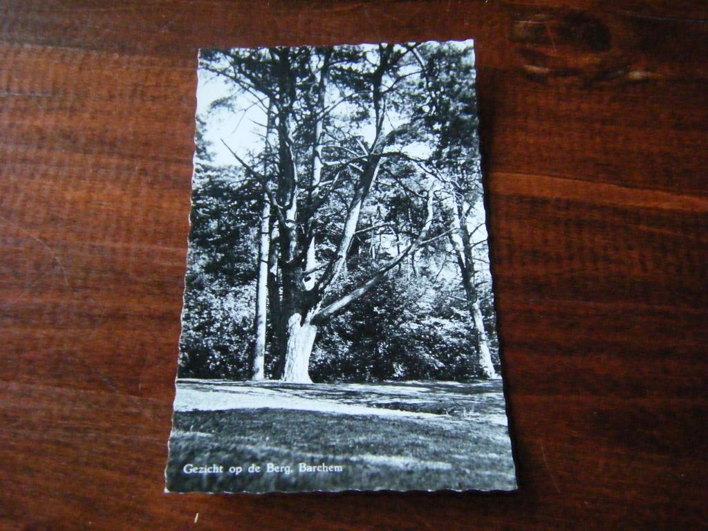 C38 - Barchem - Gezicht op de Berg - Mooi/Oud, Verzamelen, Ansichtkaarten | Nederland, Ophalen of Verzenden, 1960 tot 1980, Gelderland