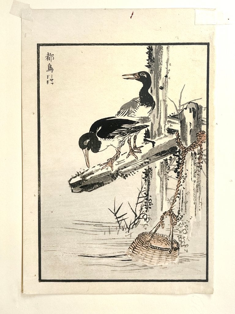 Kōno Bairei (1844-1895) Woodblock Aalschovers Cormorants, Overige typen, Ophalen of Verzenden, Papier/karton, China