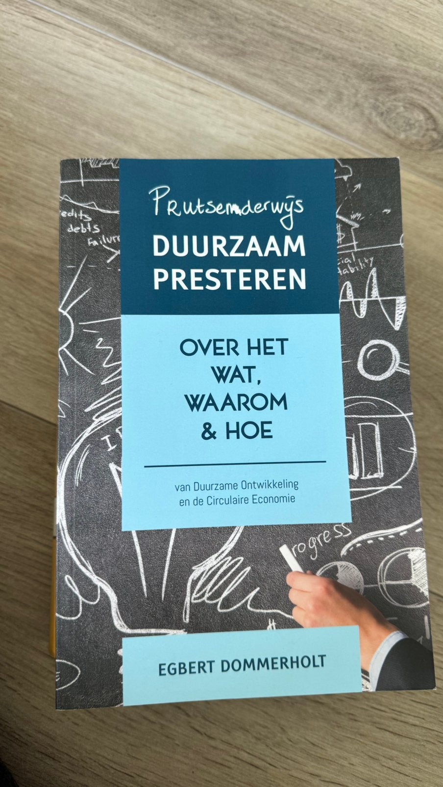 Egbert Dommerholt - Prutsenderwijs duurzaam presteren, Economie, Ophalen of Verzenden, Zo goed als nieuw, Egbert Dommerholt