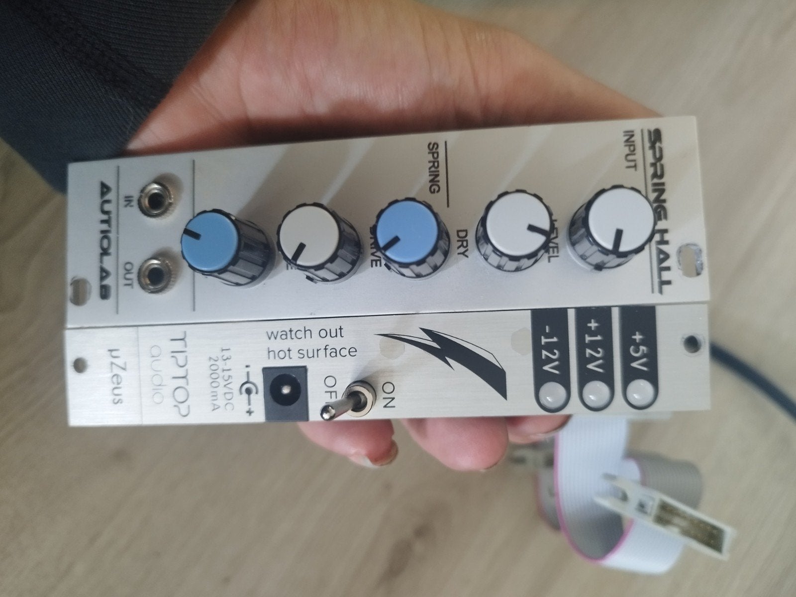 Autiolab Spring Hall Reverb Accutronics tank & TipTop µZe, Muziek en Instrumenten, Effecten, Ophalen of Verzenden, Gebruikt