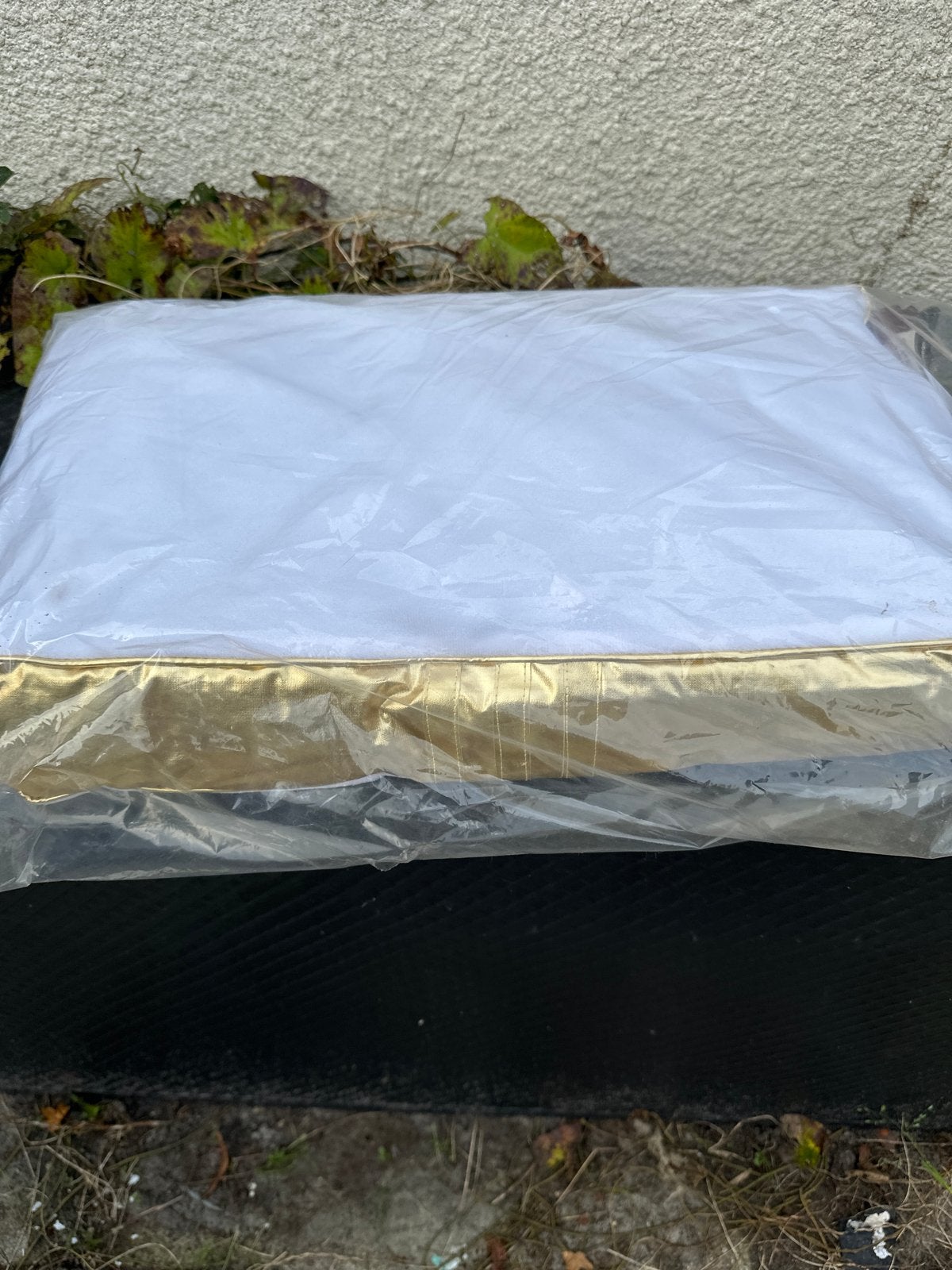Katten kussen, Ophalen of Verzenden