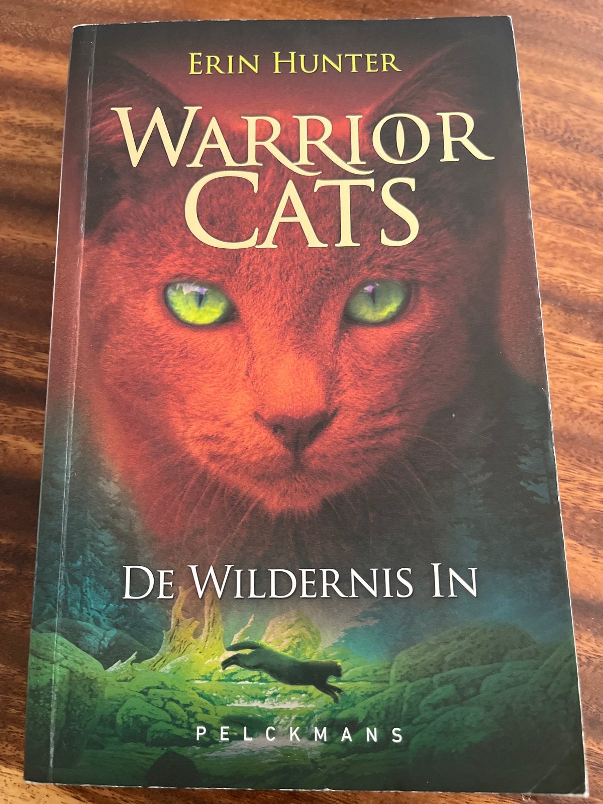 Warrior Cats: De Wildernis In - Boek 1, Ophalen of Verzenden, Zo goed als nieuw, Fictie