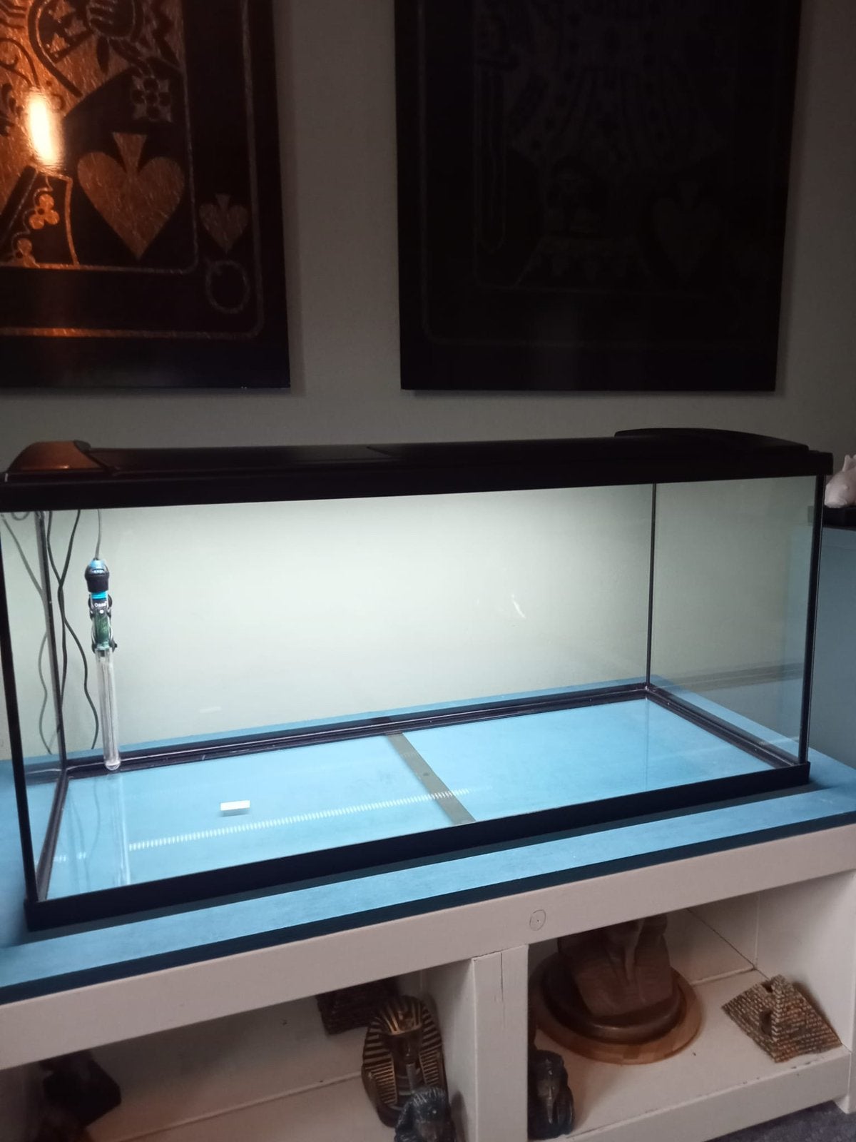 Eheim aquarium, Ophalen, Leeg aquarium, Eheim, Verwarming