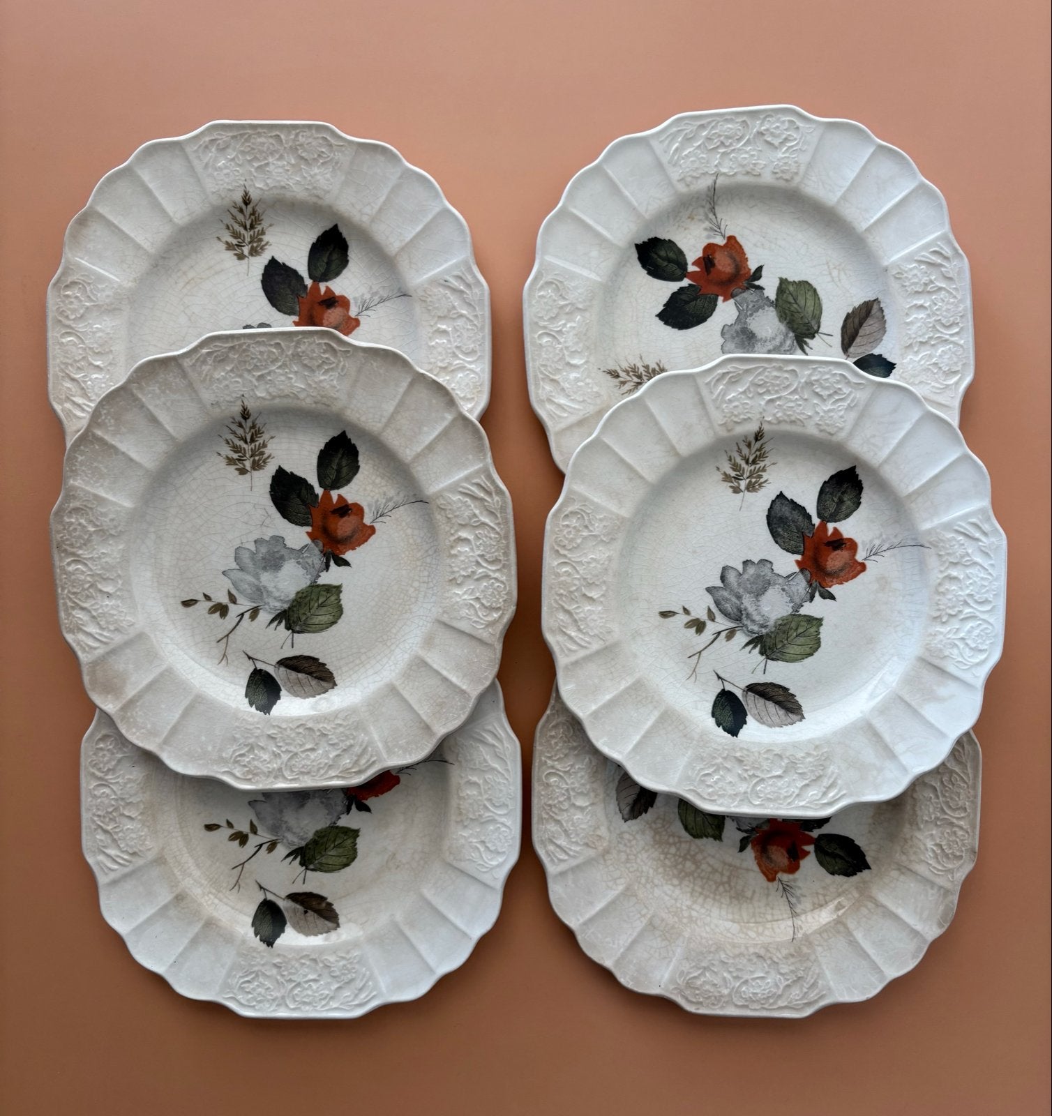 Set van 6 vintage Myott Staffordshire borden met bloemmotief, Ophalen of Verzenden