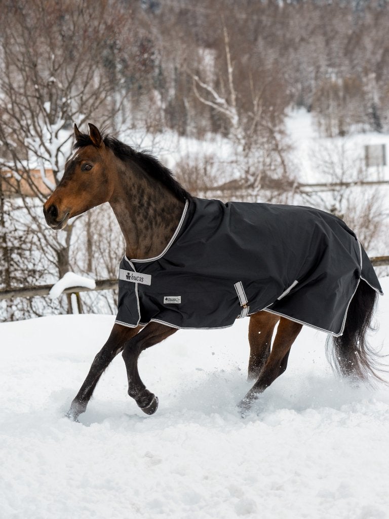 Bucas Anniversary 150gr Stay-Dry 175, 183, 191, 198, 206,213, Dieren en Toebehoren, Bucas, Nieuw, Kruissingels, Ophalen of Verzenden