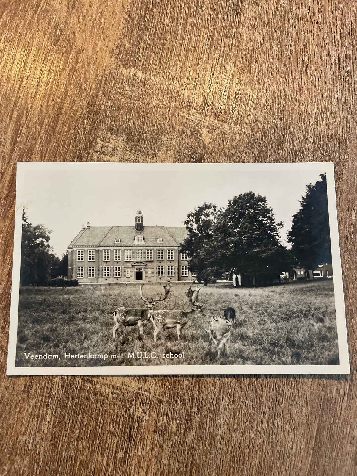 Oude ansichtkaart Veendam, Hertenkamp met MULO-school, Ophalen of Verzenden, 1940 tot 1960, Gelopen, Groningen
