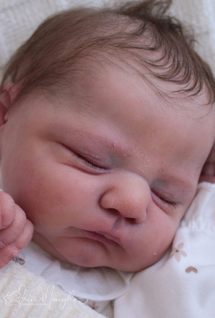 reborn, Verzamelen, Poppen, Ophalen of Verzenden, Zo goed als nieuw, Pop, Levensecht of Reborn