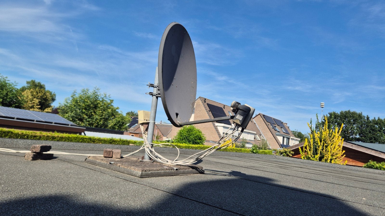 Triax satelliet schotel 80cm met 4 LNB's, Ophalen, Gebruikt, (Schotel)antenne, Overige merken