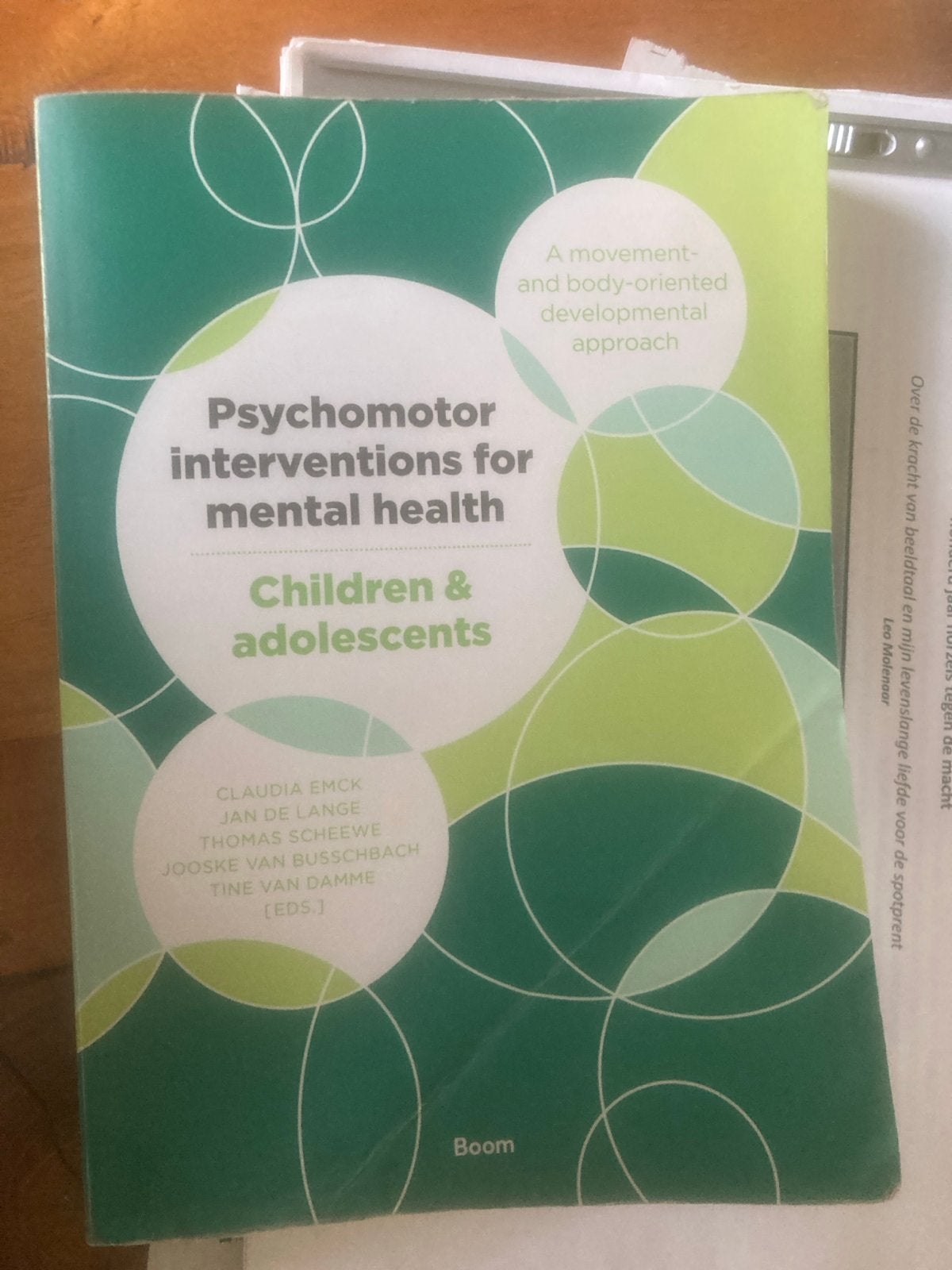 Psychomotor interventions for mental health – Children & ado, Klinische psychologie, Ophalen of Verzenden, Zo goed als nieuw, T. van Damme; T. Scheewe; C. Emck; J. van Busschbach; J. de L...