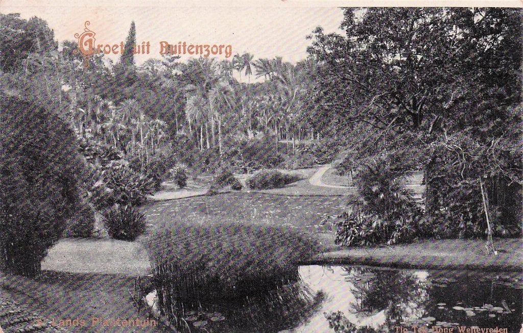 Nederlands Indië Buitenzorg - Lands Plantentuin (gel. 1912), Ophalen of Verzenden, Voor 1920, Gelopen, Buiten Europa