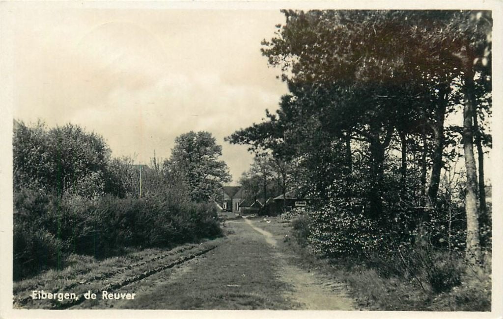 378-285-001 Eibergen de Reuver, Verzamelen, Ansichtkaarten | Nederland, Verzenden, Voor 1920, Gelderland