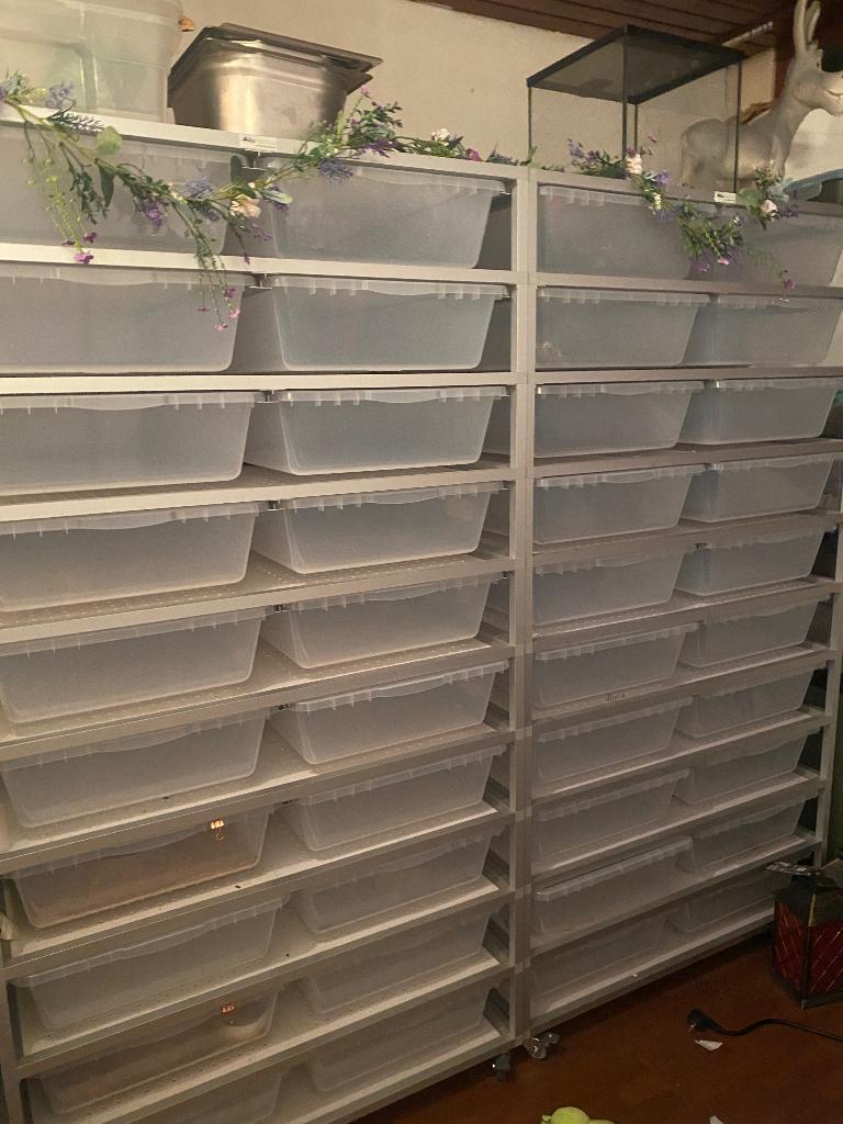 Alurack aluracks v70  (2 racks van 20 bakken), Dieren en Toebehoren, Reptielen en Amfibieën | Toebehoren, Ophalen, Zo goed als nieuw