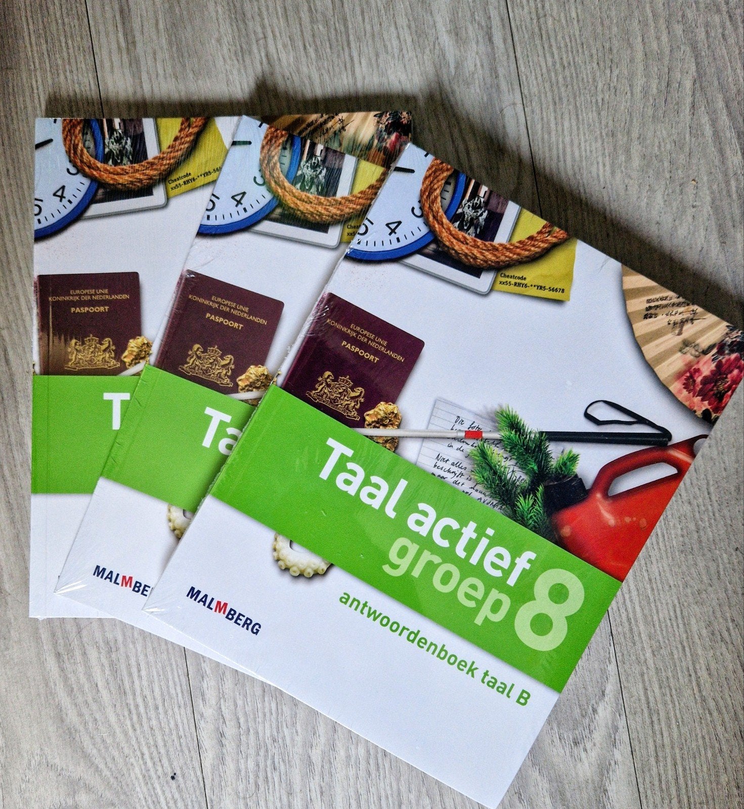 Taal Actief 4- Gesealde nakijkboekjes 8b (voor groep 8), Ophalen of Verzenden, Nieuw, Overige niveaus, Malmberg