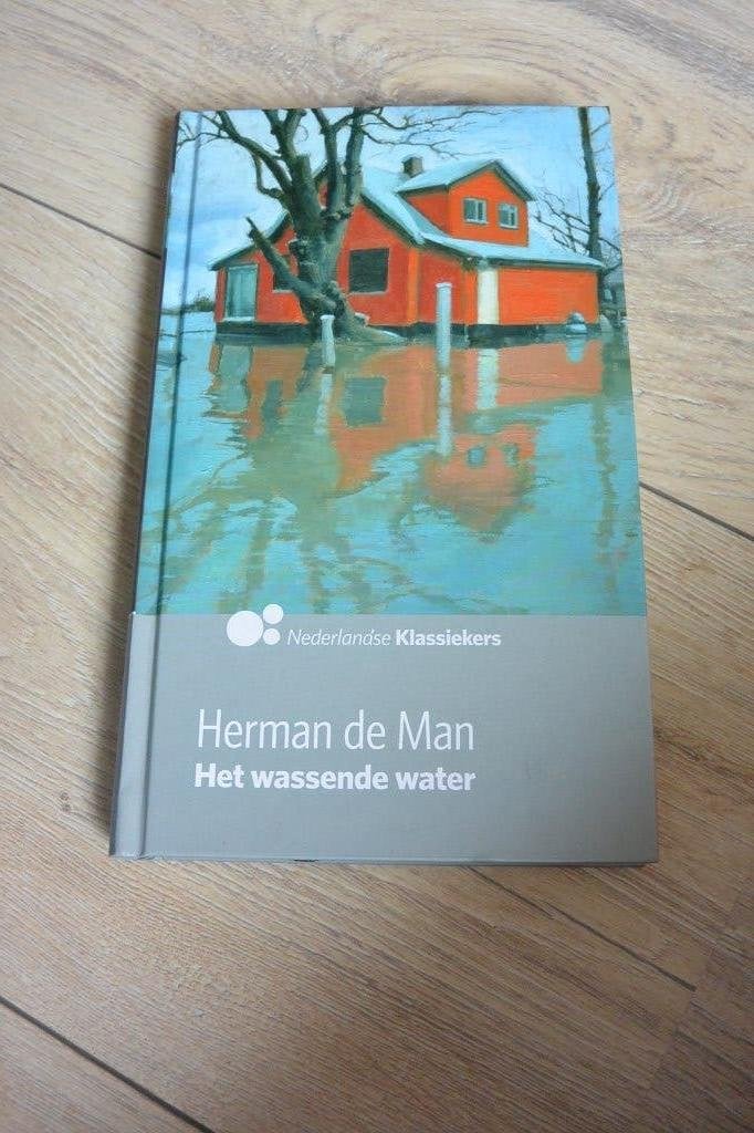 Boek Het Wassende Water - Herman de Man, Ophalen of Verzenden, Gelezen, Herman de Man