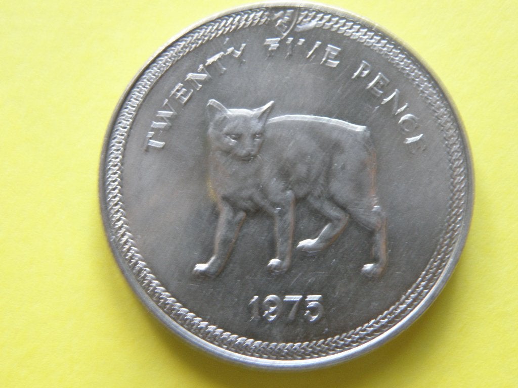 Isle of man 25 p 1975 Manx cat, Verzenden, Overige landen, Losse munt
