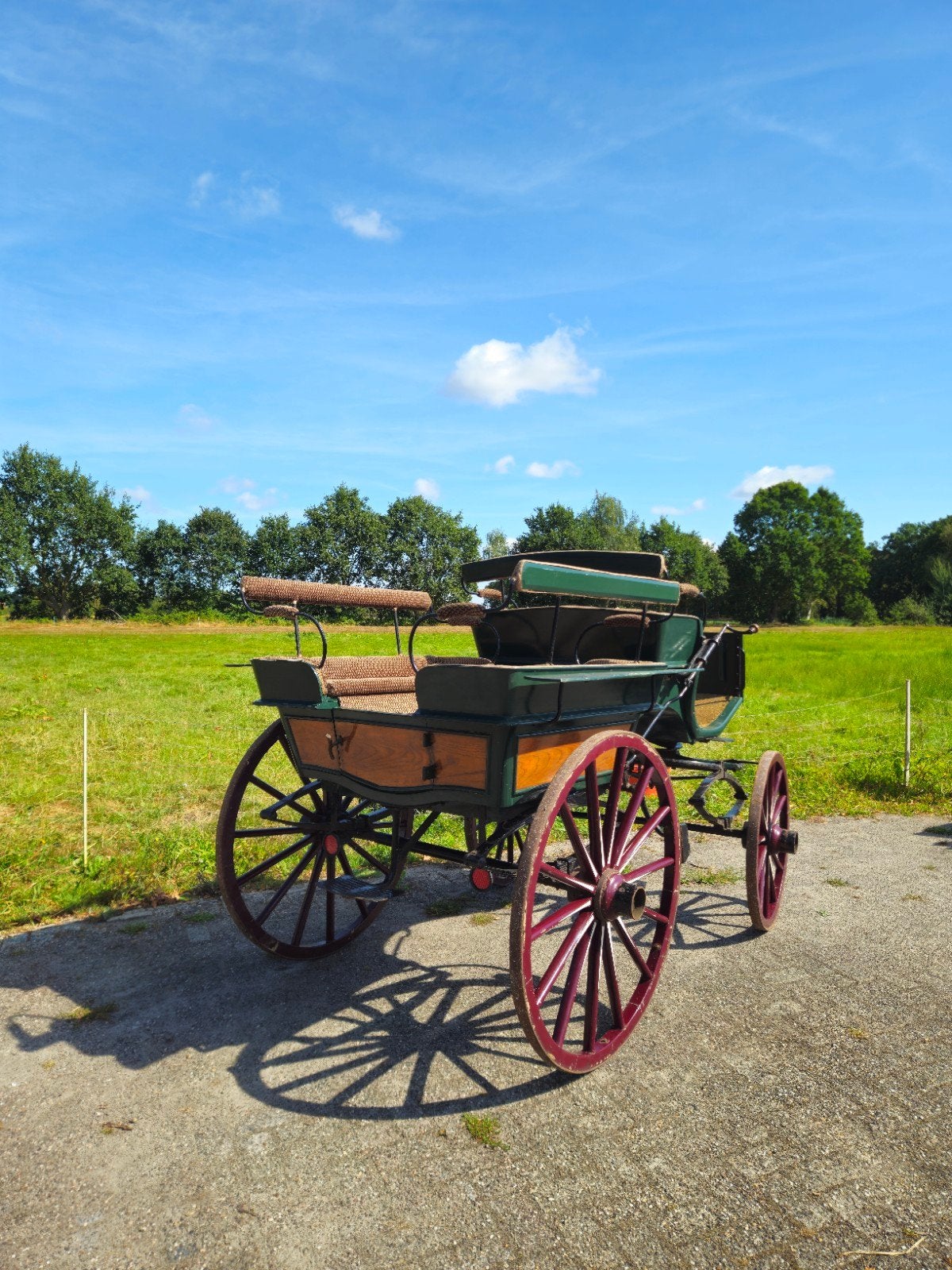 recreatiewagen/ jachtwagen, Gebruikt, Wagonette, Paard