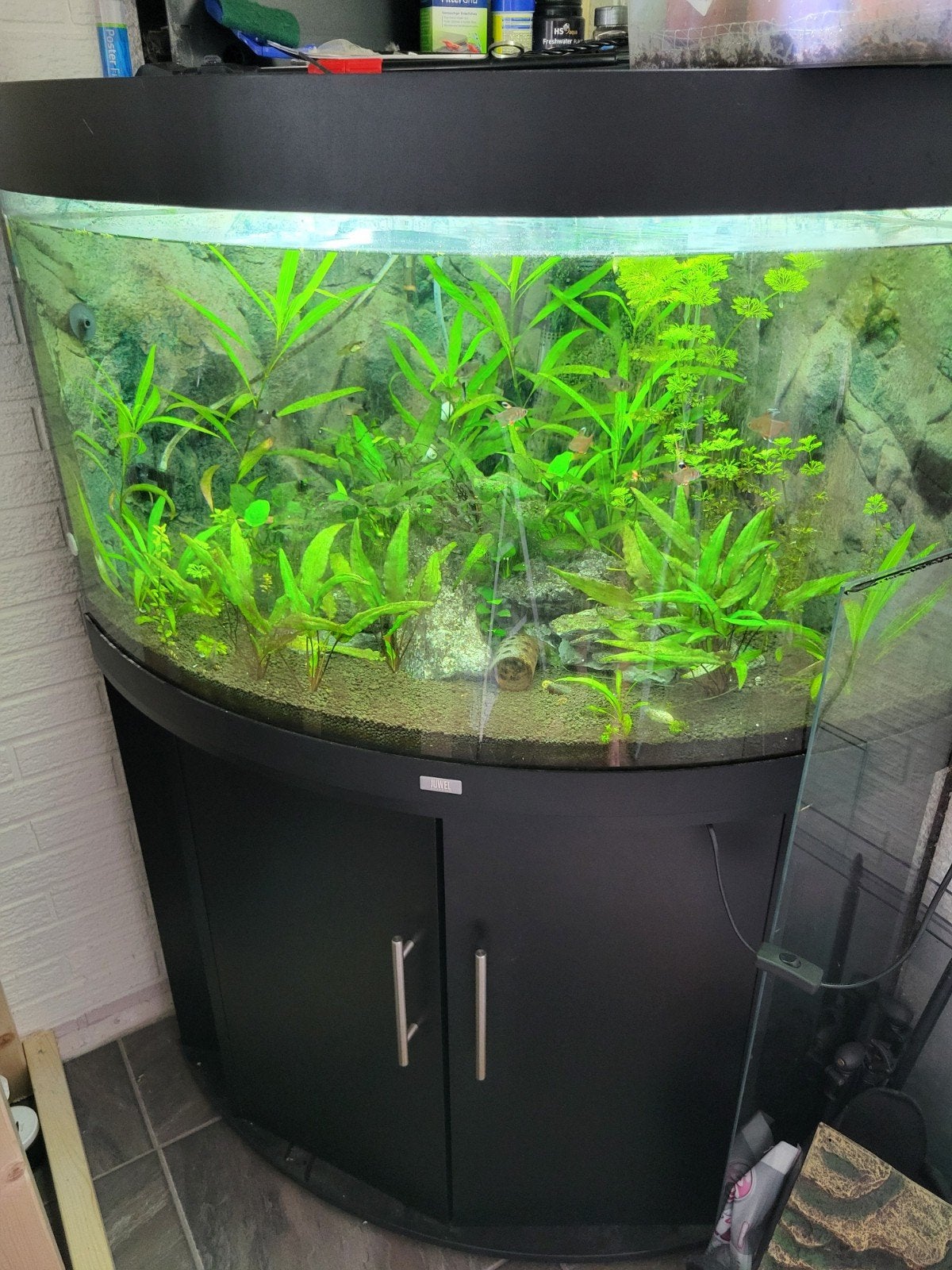 juwel 190, Dieren en Toebehoren, Vissen | Aquaria en Toebehoren, Ophalen, Inclusief vissen, Juwel, Gevuld zoetwateraquarium
