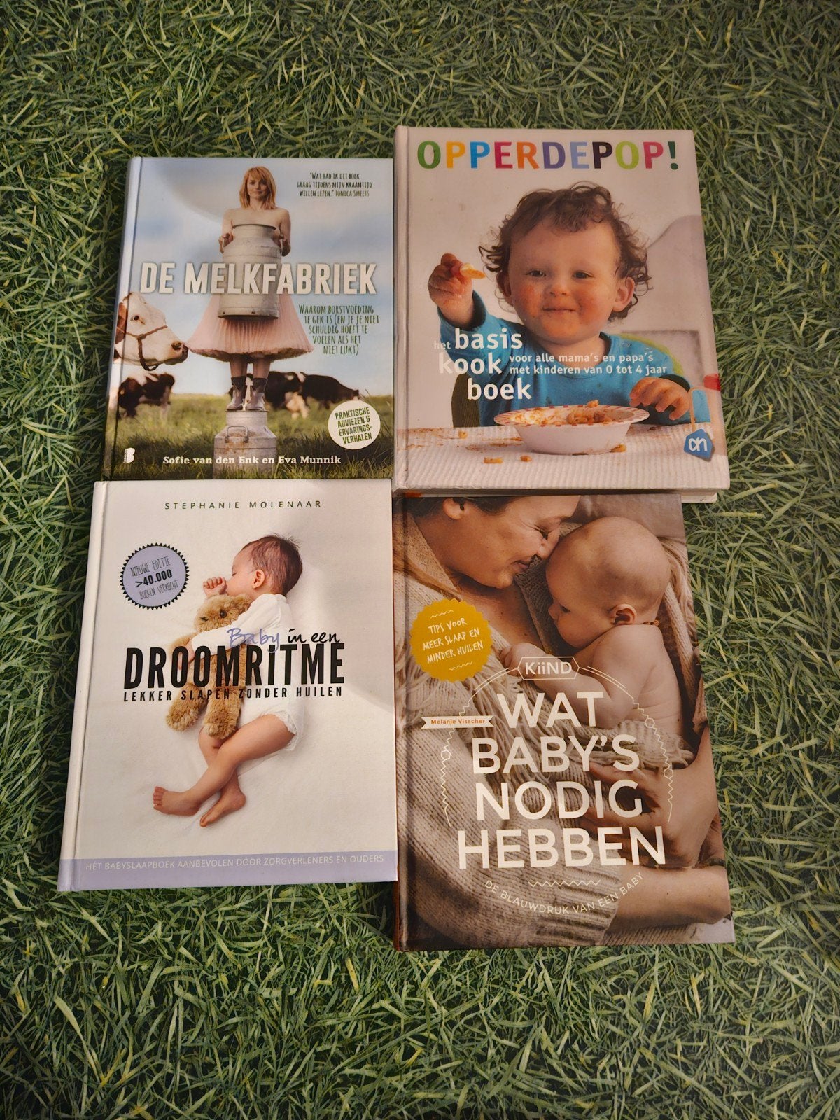 Boekenpakket: Zwangerschap, Baby & Opvoeding (4 boeken), Boeken, Ophalen of Verzenden, Zo goed als nieuw, Zwangerschap en Bevalling