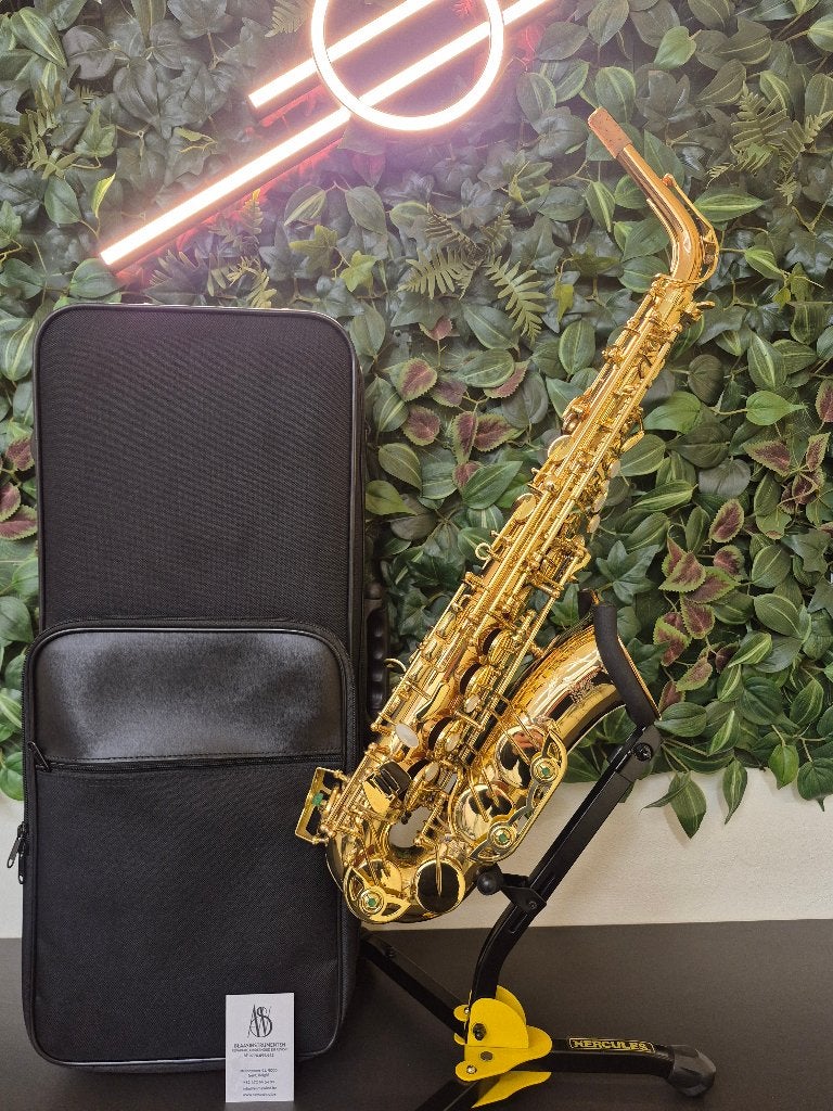 New York Symphonic Serie V Alt-Saxofoon, Ophalen of Verzenden, Zo goed als nieuw, Alt, Met koffer