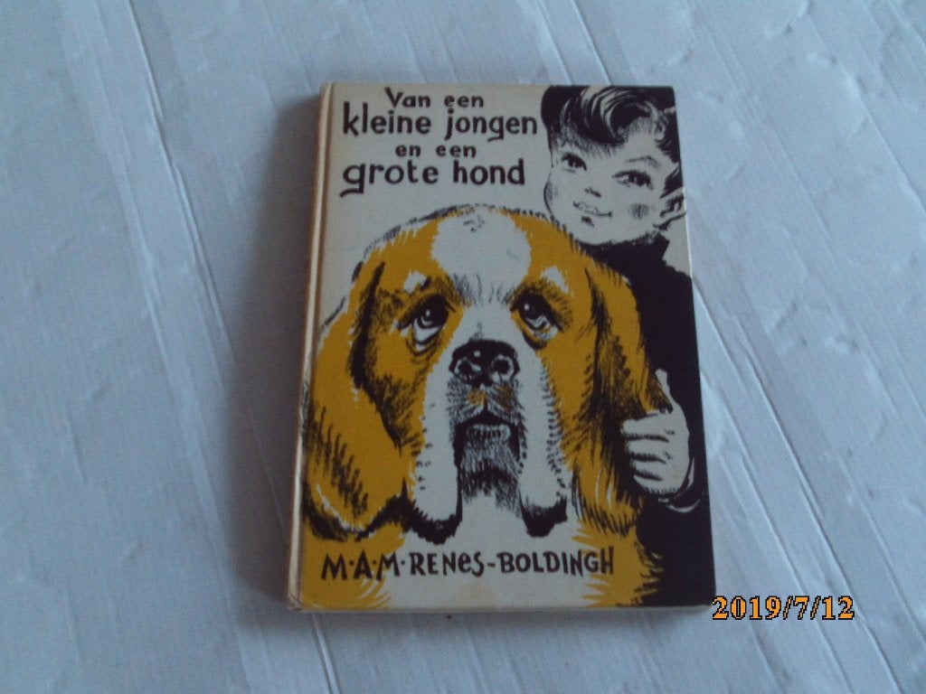van een kleine jongen - m.a.m. renes-boldingh - vd hulst, Boeken, Ophalen of Verzenden, Gelezen, Fictie algemeen