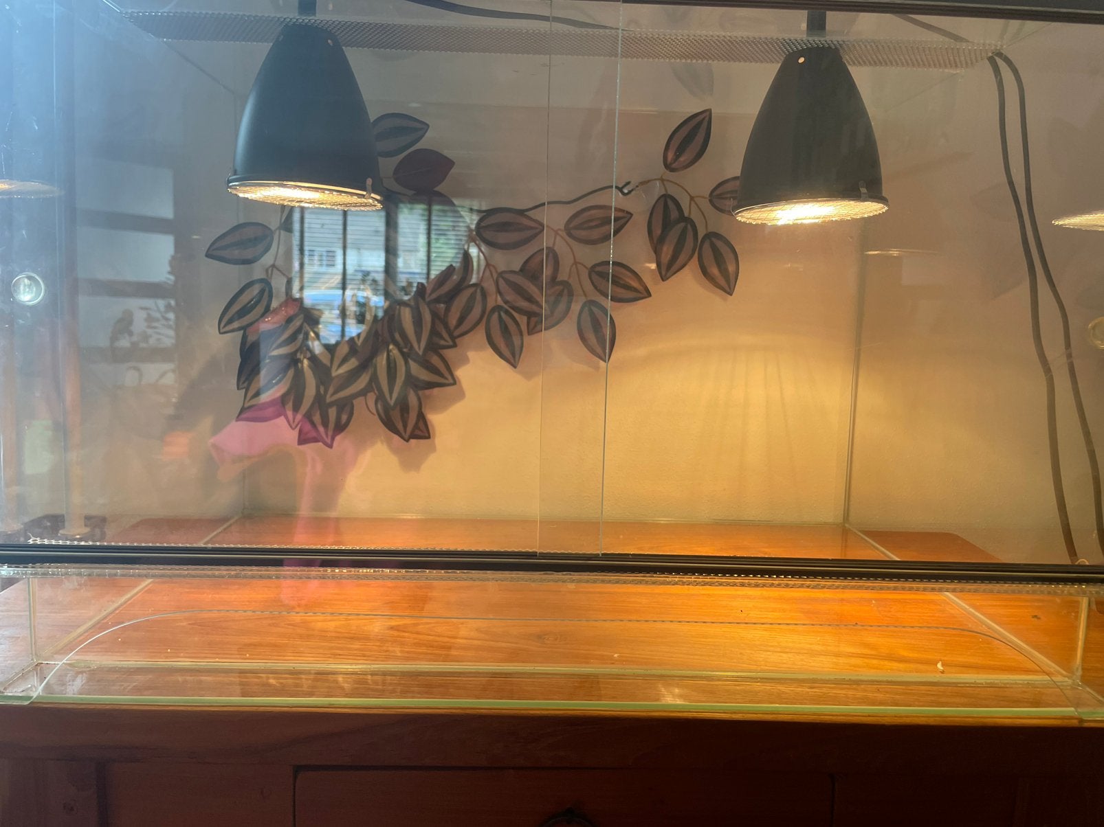 Terrarium, Ophalen, Zo goed als nieuw