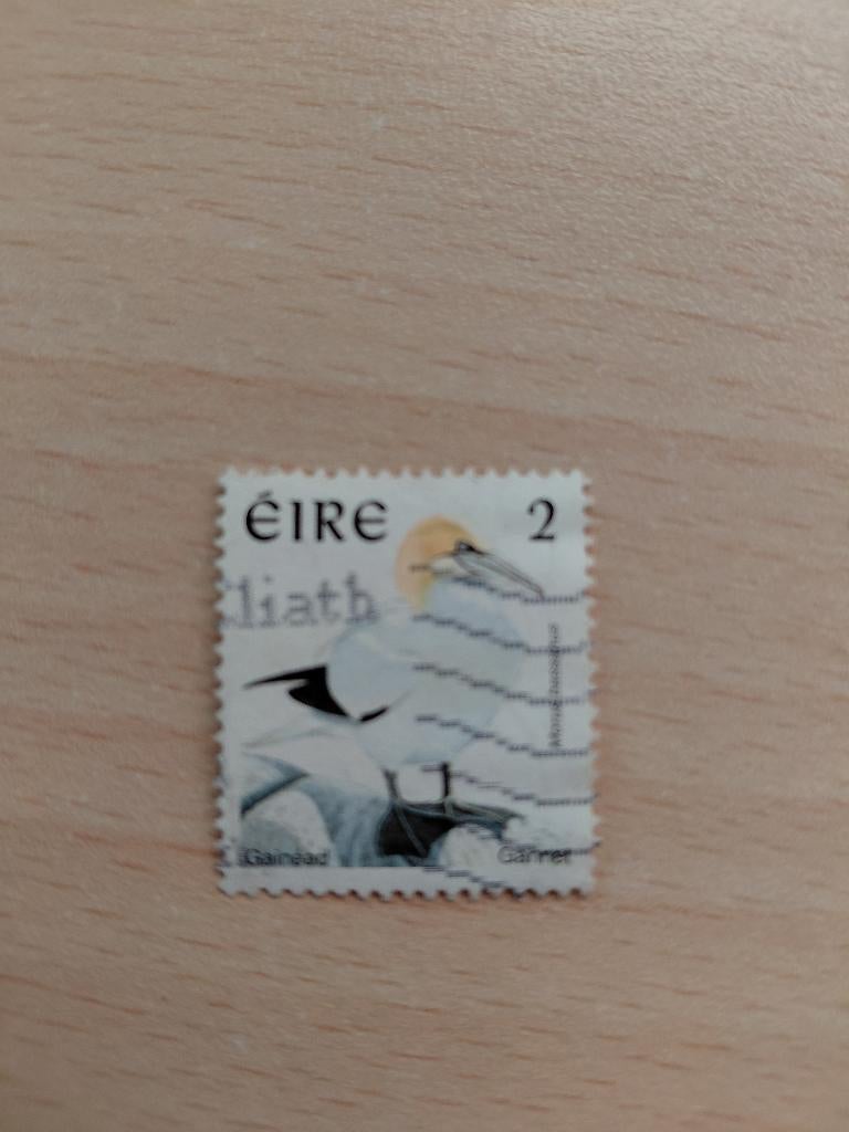 Ierland vogel jan van gent, Verzenden, Ierland, Gestempeld