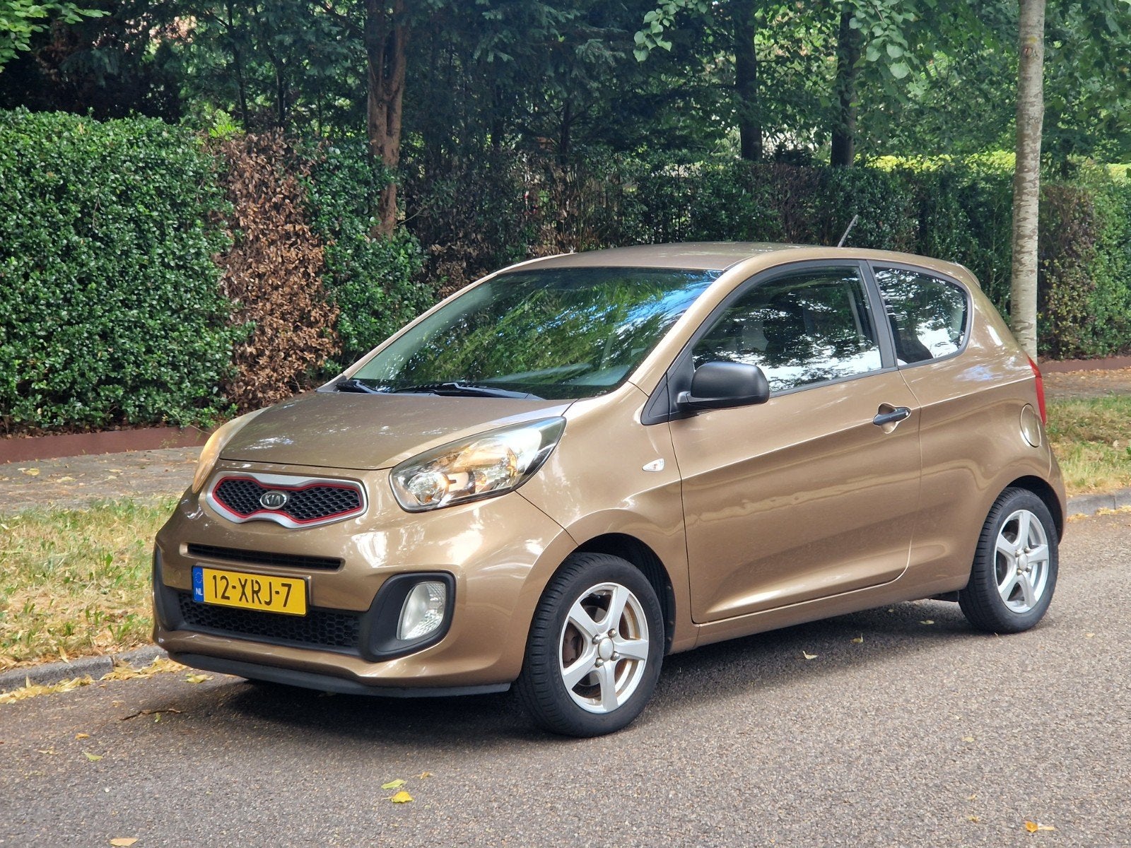 Kia Picanto 1.2 Cvvt 3-DRS 2012 Bruin, Voorwielaandrijving, Stof, Zwart, 4 cilinders