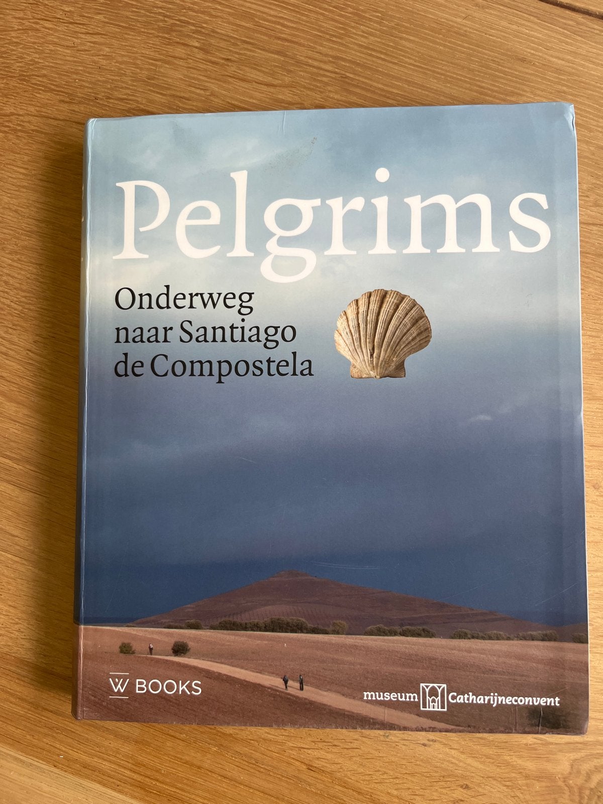 Pelgrims: Onderweg naar Santiago de Compostela, Overige merken, Europa, Ophalen of Verzenden, Zo goed als nieuw