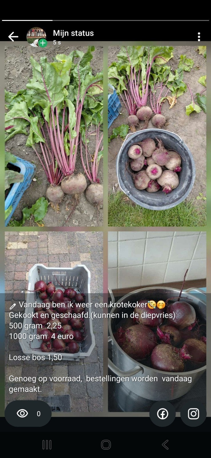 Vandaag   verse gekookte en geraspte kroten, Ophalen