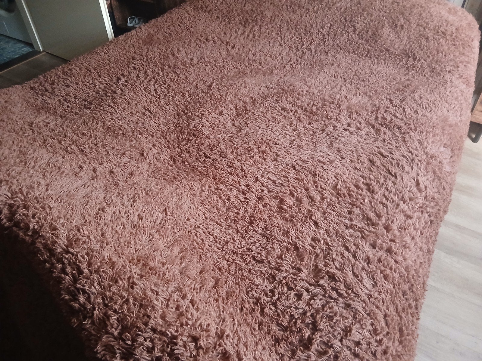 nieuw vloerkleed, Huis en Inrichting, Bruin, Ophalen of Verzenden, Rechthoekig, Nieuw