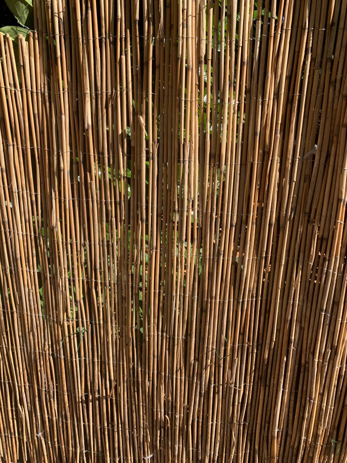Rieten mat, Tuin en Terras, Ophalen, Overige materialen, 1 tot 2 meter, Minder dan 3 meter