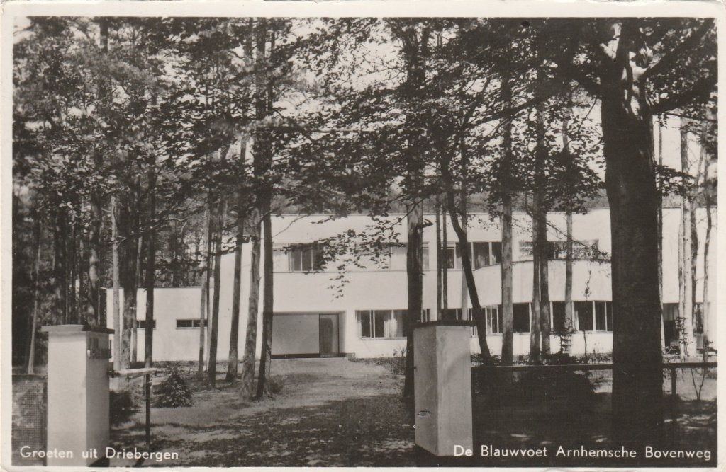 driebergen- de blauwvoet, Ophalen of Verzenden, 1940 tot 1960, Utrecht