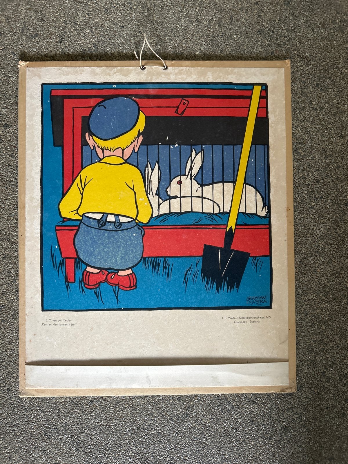 Vintage schoolplaat - Herman Dijkstra, Antiek en Kunst, Ophalen of Verzenden, Natuur en Biologie