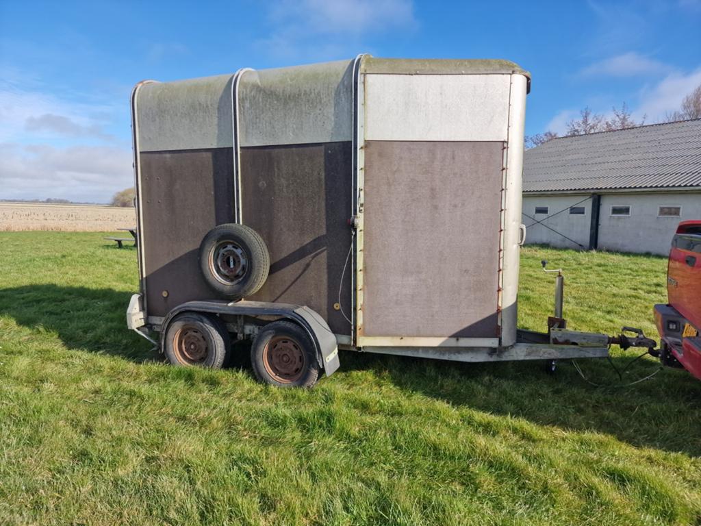 Ifor williams paardentrailer, Ophalen of Verzenden