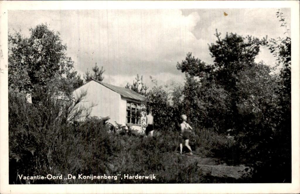 Harderwijk - Vacantie-Oord - De Konijnenberg, Verzamelen, Ansichtkaarten | Nederland, Gelopen, Gelderland, 1940 tot 1960, Ophalen of Verzenden