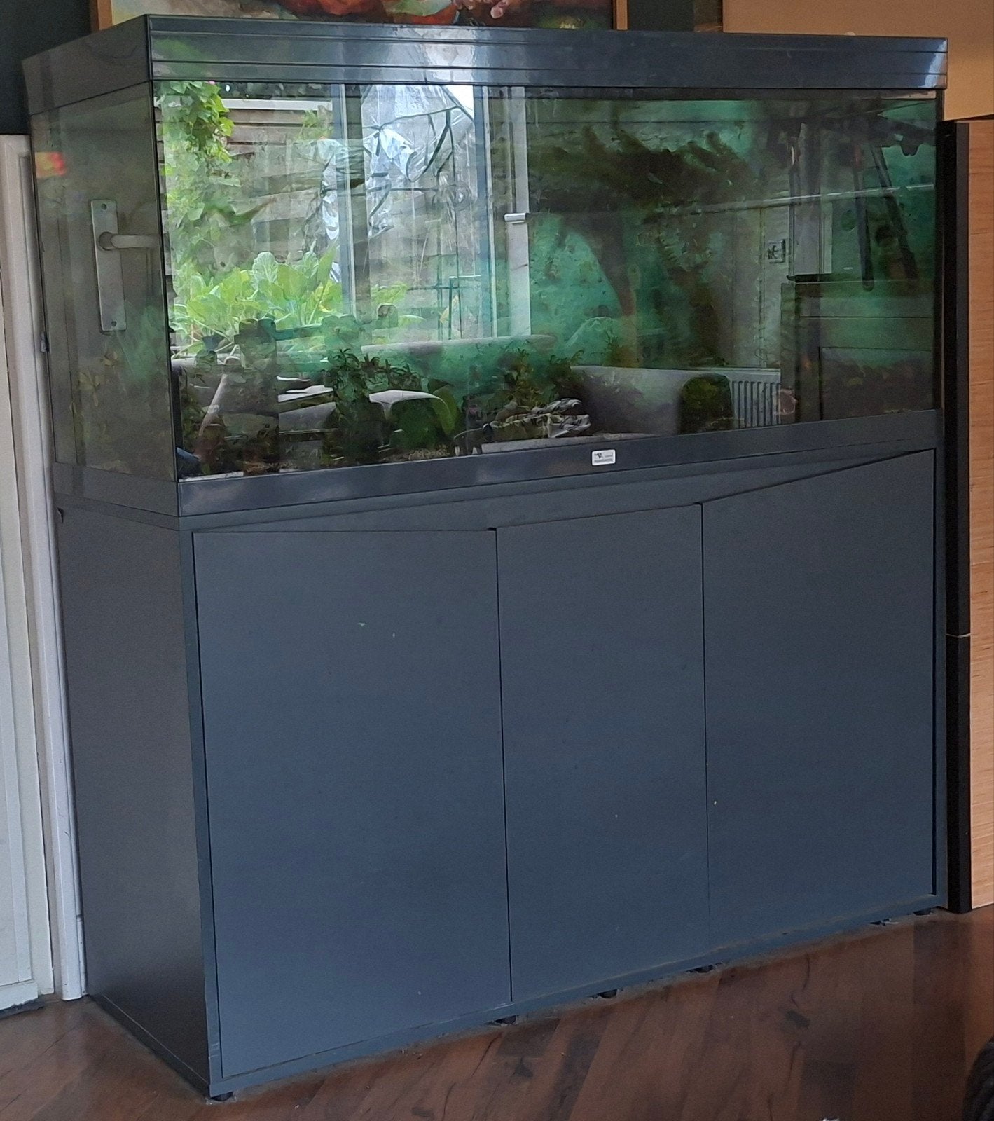 Schitterend 240L aquarium /Gezelschapsaquarium, Ophalen, Aquatlantis, Inclusief vissen, Gevuld zoetwateraquarium