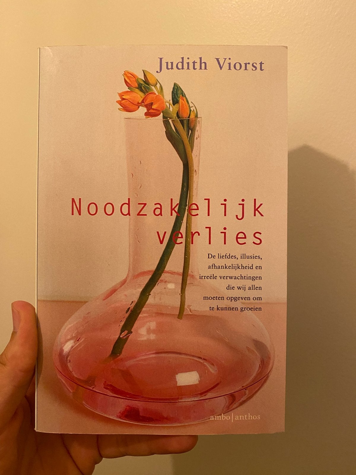 Noodzakelijk Verlies - Judith Viorst (Zo goed als nieuw), Ophalen of Verzenden, Zo goed als nieuw, Nederland