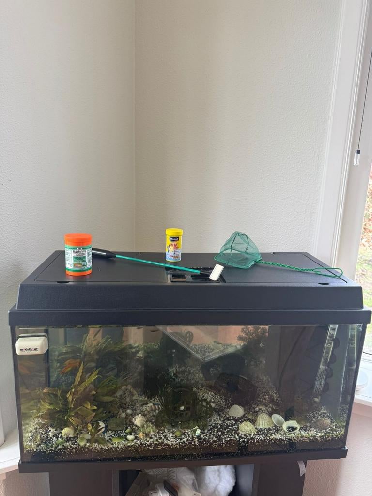 Aquarium met visjes en toebehoren, Dieren en Toebehoren, Vissen | Aquaria en Toebehoren, Ophalen